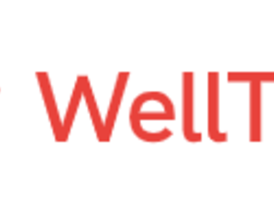 Well Tax Consultants