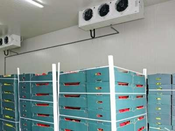 Asad Kikha Group Of Warehouses