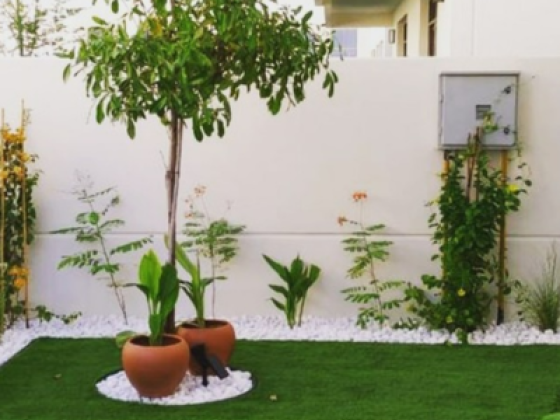 Ardh Al Madina Landscaping