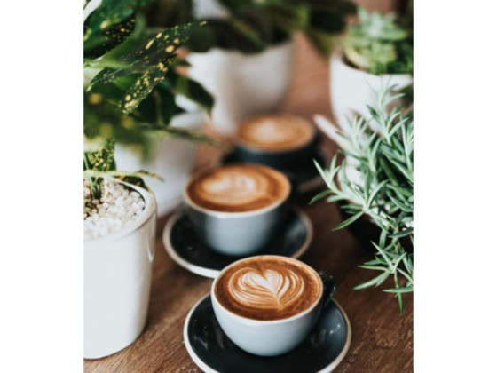 Culture Coffee