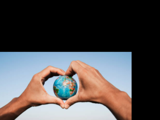 Noor Al Zain Travel Agency
