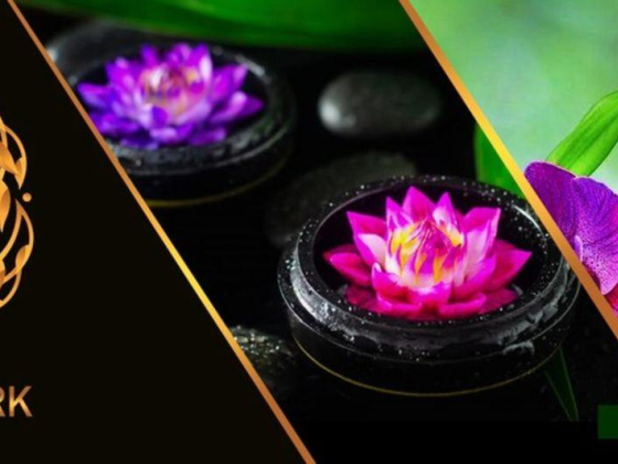 Golden Spark Physiotherapy Center