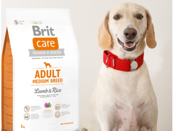 Pet World  ​shop