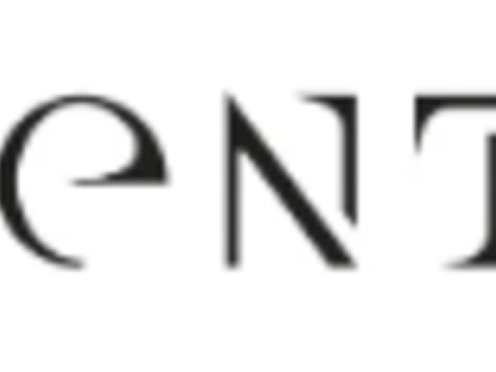 Mente Art Gallery