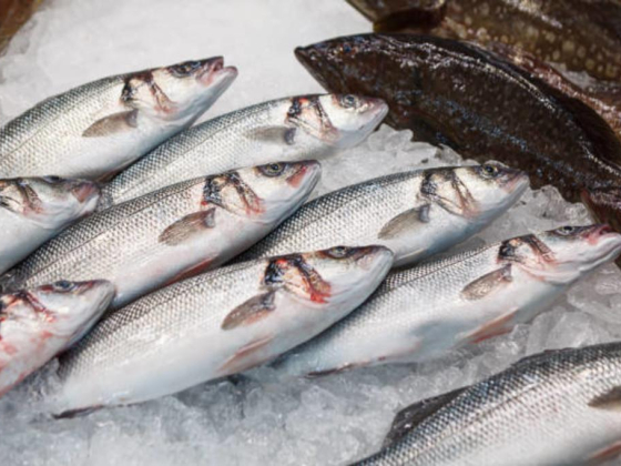 Bahar Al Hamriya Fish Trading