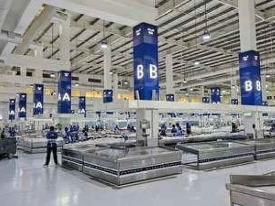Bahar Al Hamriya Fish Trading