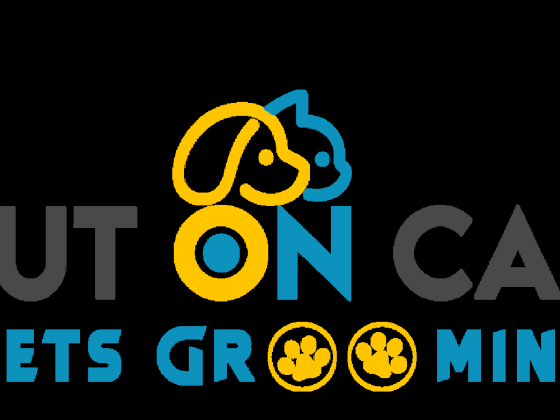 Cut On Car Pets Grooming