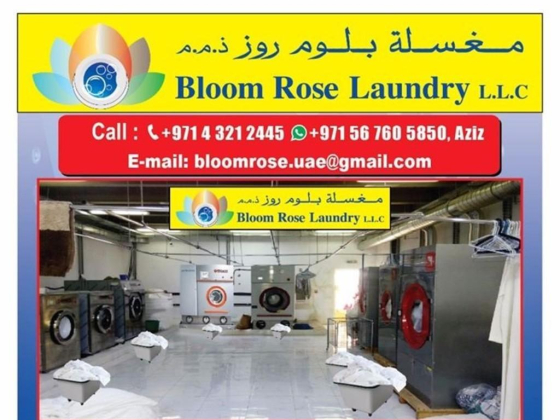 Bloom Rose Laundry