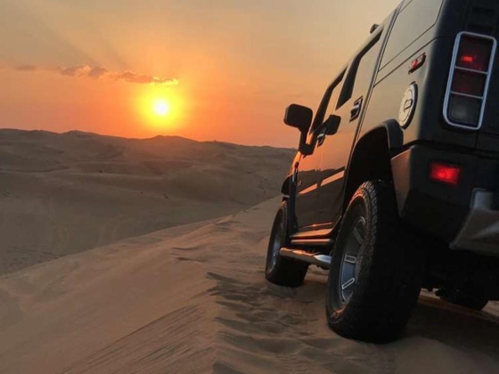 Desert Delight Travel & Tourism