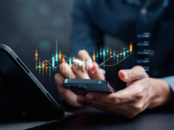 Royal Coral Crypto Payment Services Provider