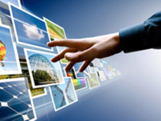 Elementary Bim Project Management Services