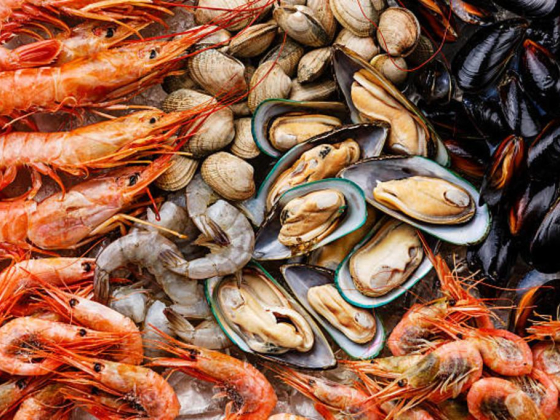 Blue Wave Sea Food