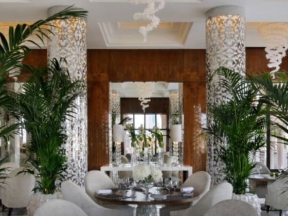 One & Only The Palm