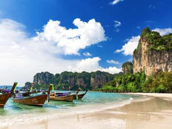 Joy View Tourism