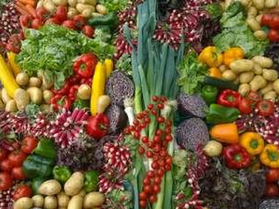 N J F Fruits And Vegetables Trading