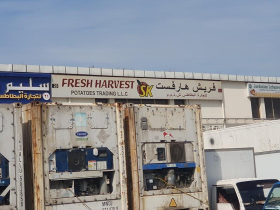 Fresh Harvest Potatoes Trading