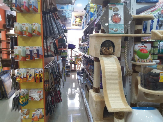 Pet Corner