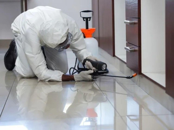 Pest Killer For Pest Control