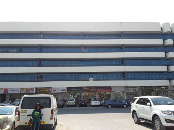 Bashir Typing Services