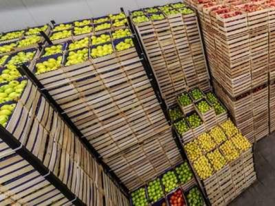 Sanad Al Madina Warehouse