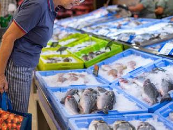 Sea House Foodstuffs Trading