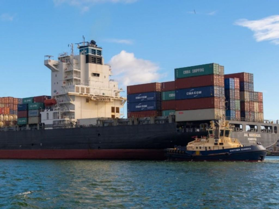 Red Sea Wave Shipping Agencies