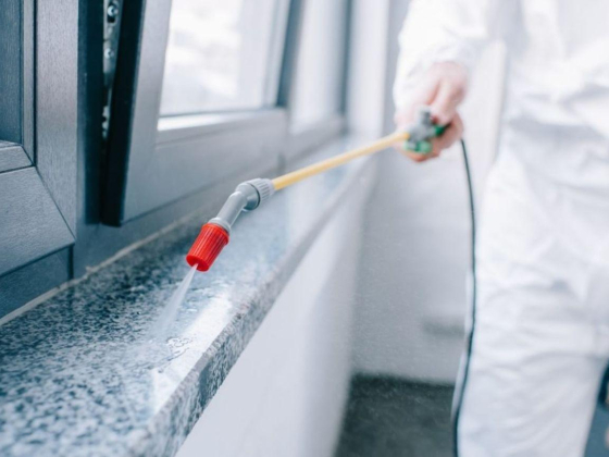 Royal Standard Technical & Cleaning Services