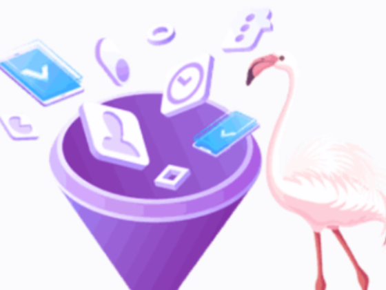 Dubai Website Design