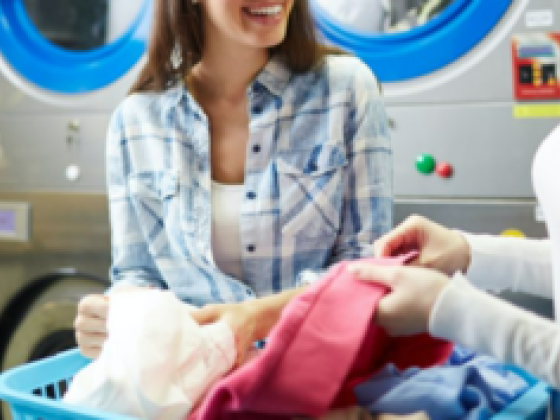 Lulu Laundry