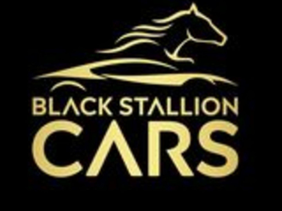 Black Stallion Cars