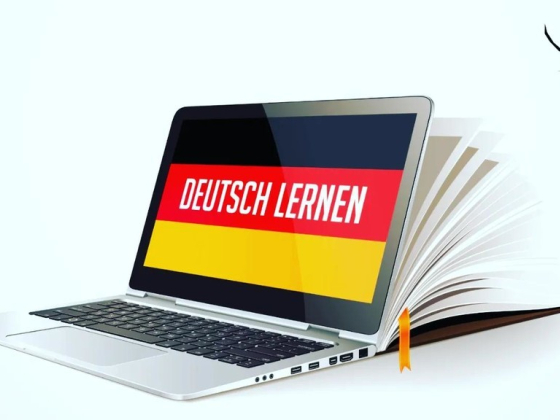 Schiller Language Training