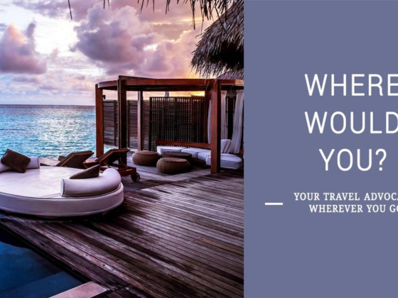Mice Le Voyage Travel & Tourism