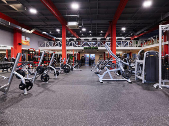 Paladin Fitness Club L.l.c