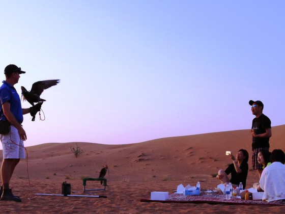 Orient Tours