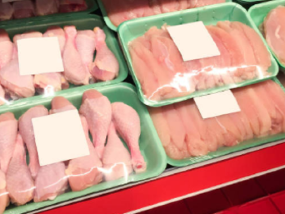 Moheeb Fresh & Chilled & Frozen Meat Trading Co. L.l.c (branch)