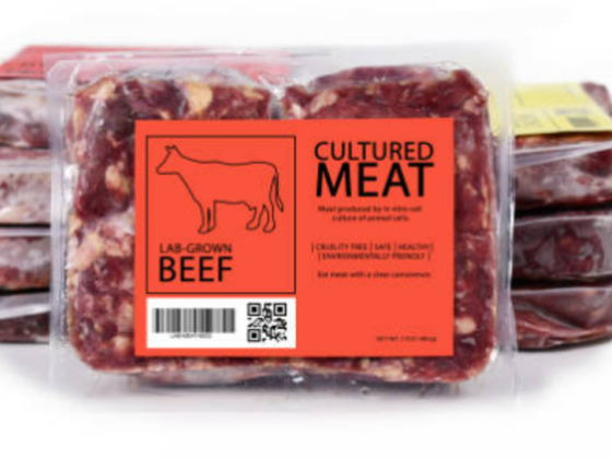 Moheeb Fresh & Chilled & Frozen Meat Trading Co. L.l.c (branch)