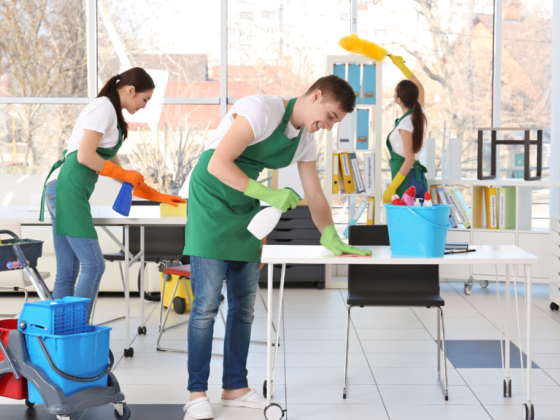 Alfa Maid Cleaning Services