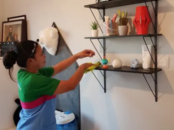 Apex Rapid Cleaning Services