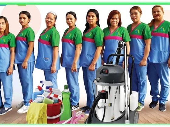 Apex Rapid Cleaning Services