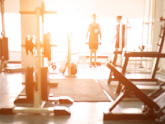 Trainers Hub Gym