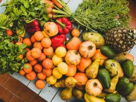 Bab Al Hayat Foodstuff Trading