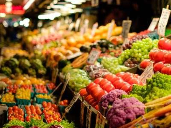 Alsadaf Alfedhi Grocery Store