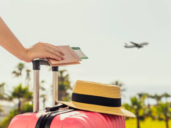 Ever Star Global Tourism