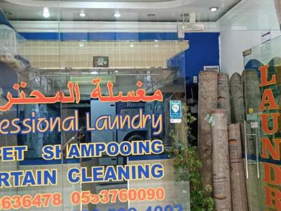 Professional Laundry