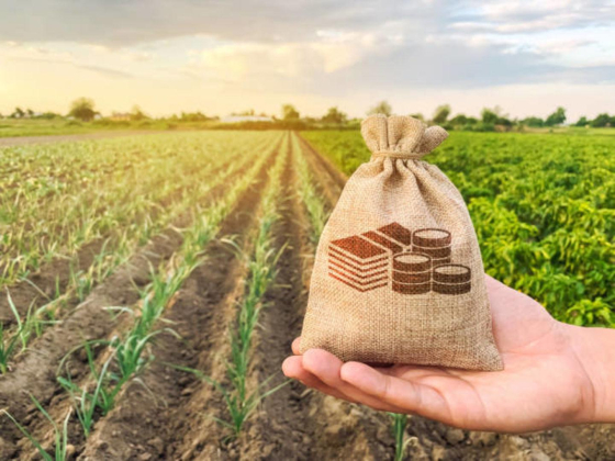 Praramb Agri Trading Dmcc