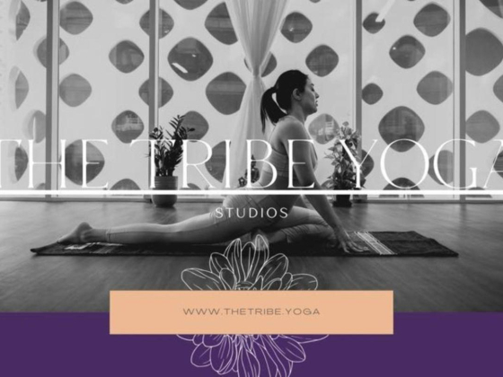 Tribe Yoga Center