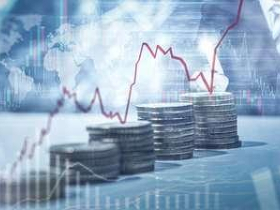 Gavekal Wealth ​Management