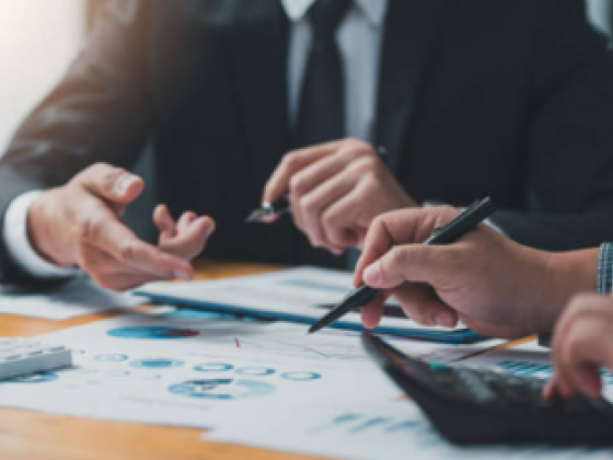 Business Link Consultancies