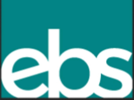 Executive Business Solutions