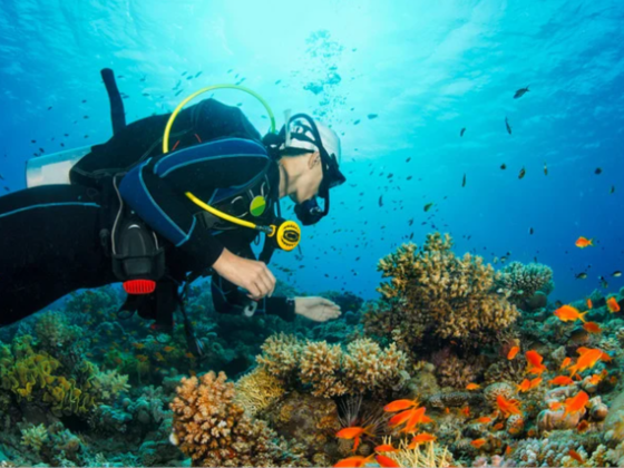 Reef Oasis Diving Club